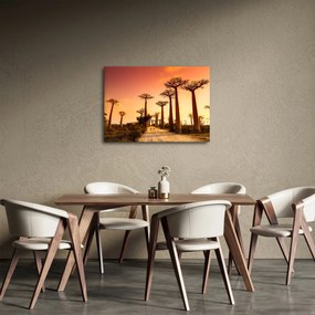 Obraz - Zachód słońca w Baobab Alley (70x50 cm)