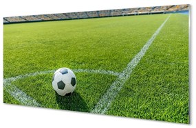 Obraz na szkle Stadion piłka trawa