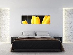 Obraz tulipanów (170x50 cm)