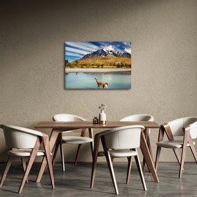 Obraz - Park Narodowy Torres del Paine (70x50 cm)