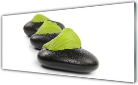 Panel Kuchenny Artystyczna Kompozycja Kamieni