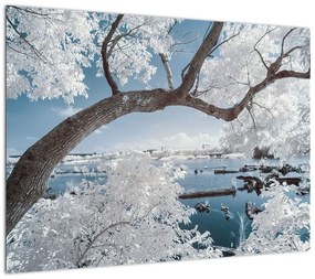 Obraz na szkle - ośnieżone drzewo nad wodą (70x50 cm)