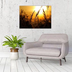 Obraz na szkle zachodzącego słońca (70x50 cm)