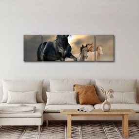 Obraz - Konie (170x50 cm)