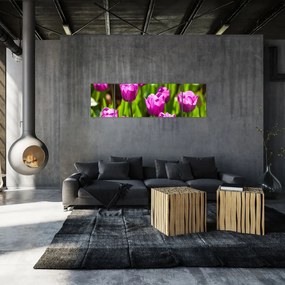 Obraz tulipanów na łące (170x50 cm)