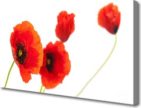 Obraz na płótnie Wiosenna Kompozycja Kwiatowa