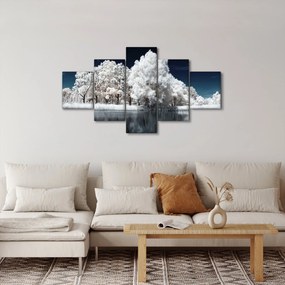 Obraz - Śnieżnobiałe drzewa (125x70 cm)