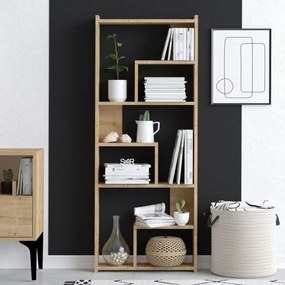 Biblioteczka Meg Oak