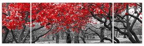 Obraz - Czerwone drzewa, Central Park, New York (170x50 cm)