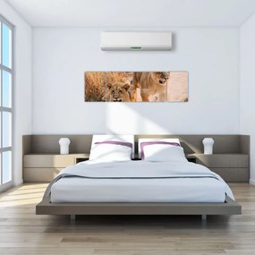 Obraz - Lwiątka (170x50 cm)