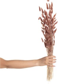 Bukiet Dmuszka 60cm dusty pink