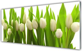 Panel Kuchenny Kolorowy Zawrót Głowy: Tulipany