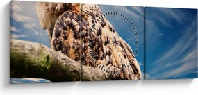 Obraz sowy (z zegarem) (90x30 cm)