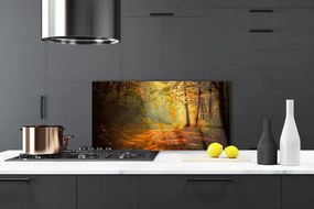 Panel Szklany Leśna Ścieżka W Słońcu