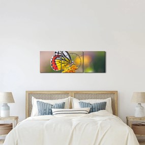 Obraz motyla na kwiatku (z zegarem) (90x30 cm)