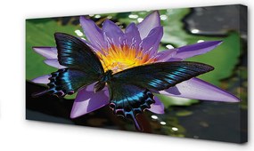 Obraz canvas na ścianę Kwiat z Motylem