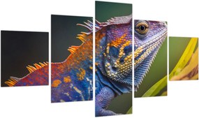 Obraz - Kolorowy legwan (125x70 cm)