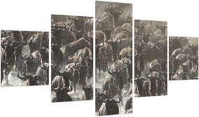 Obraz - Stado antylop gnu (125x70 cm)