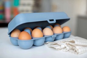 Pojemnik na jajka EGGS TO GO, na 10 jajek, KOZIOL