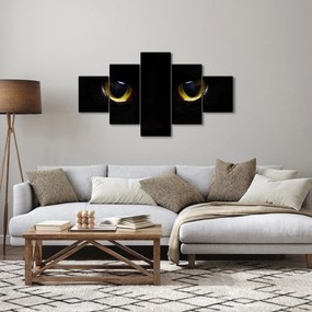 Obraz - Kocie oczy (125x70 cm)