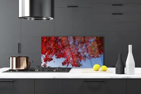 Panel Szklany do Kuchni Rozłożysta Korona Drzewa