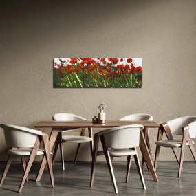 Obraz maków na wietrze (z zegarem) (90x30 cm)