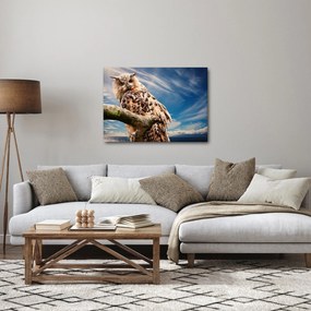 Obraz - Sowa (70x50 cm)