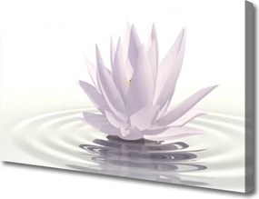 Obraz na płótnie Kwiat Lotosu na Wodzie