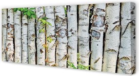 Obraz na płótnie Liście Brzozy