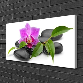 Obraz Canvas Kwiat Orchidea Sztuka