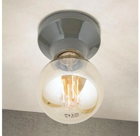 Orion - Lampa sufitowa FROST 1xE27/60W/230V szara