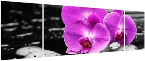 Obraz - Fioletowe orchidee (170x50 cm)