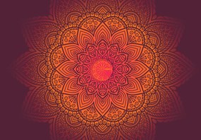 Fototapeta - Mandala, ciemna (196x136 cm)