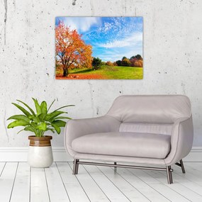 Obraz - Jesienny krajobraz (70x50 cm)