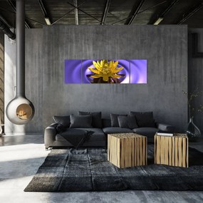 Obraz - Lilia wodna (170x50 cm)