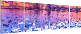 Obraz - Praga (170x50 cm)
