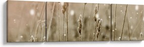 Obraz - Harmonious Meadow (170x50 cm)