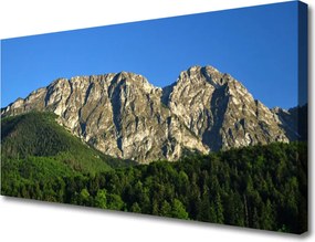 Zdjęcie na płótnie Górska Przystań w Lesie