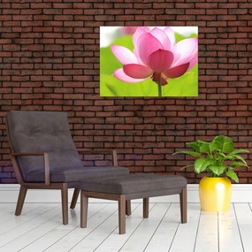 Obraz kwiatu lotosu (70x50 cm)