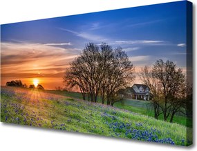 Obraz canvas Słoneczna Polana o Poranku