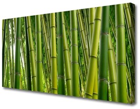 Obraz Canvas Bambusowy Las Pędy Bambusa