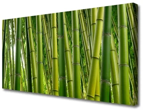Obraz Canvas Bambusowy Las Pędy Bambusa