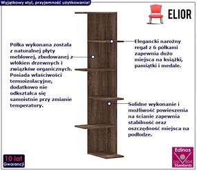 Elegancka półka ścienna brązowy dąb - Efez