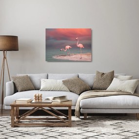 Obraz na szkle flamingów (70x50 cm)