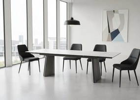 Nowoczesny stół rozkładany Nexus o wymiarach 200(280)×90 cm zachwyca eleganckim blatem z masy ceramicznej i solidną podstawą ze stali szczotkowanej. Styl, trwałość i funkcjonalność w jednym – idealny do jadalni i salonu.