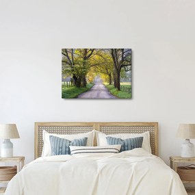 Zdjęcie - Smoky Mountains, Gatlinburg, USA (70x50 cm)