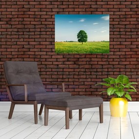 Obraz na szkle drzewa na środku łąki (70x50 cm)