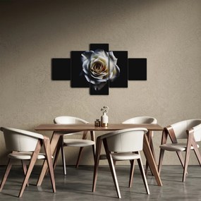Obraz białej róży (125x70 cm)
