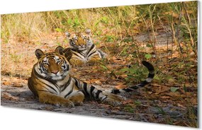 Panel szklany do Kuchni Królewska Para Tygrysów