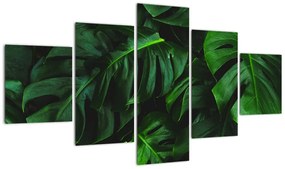 Obraz liści Monstery (125x70 cm)